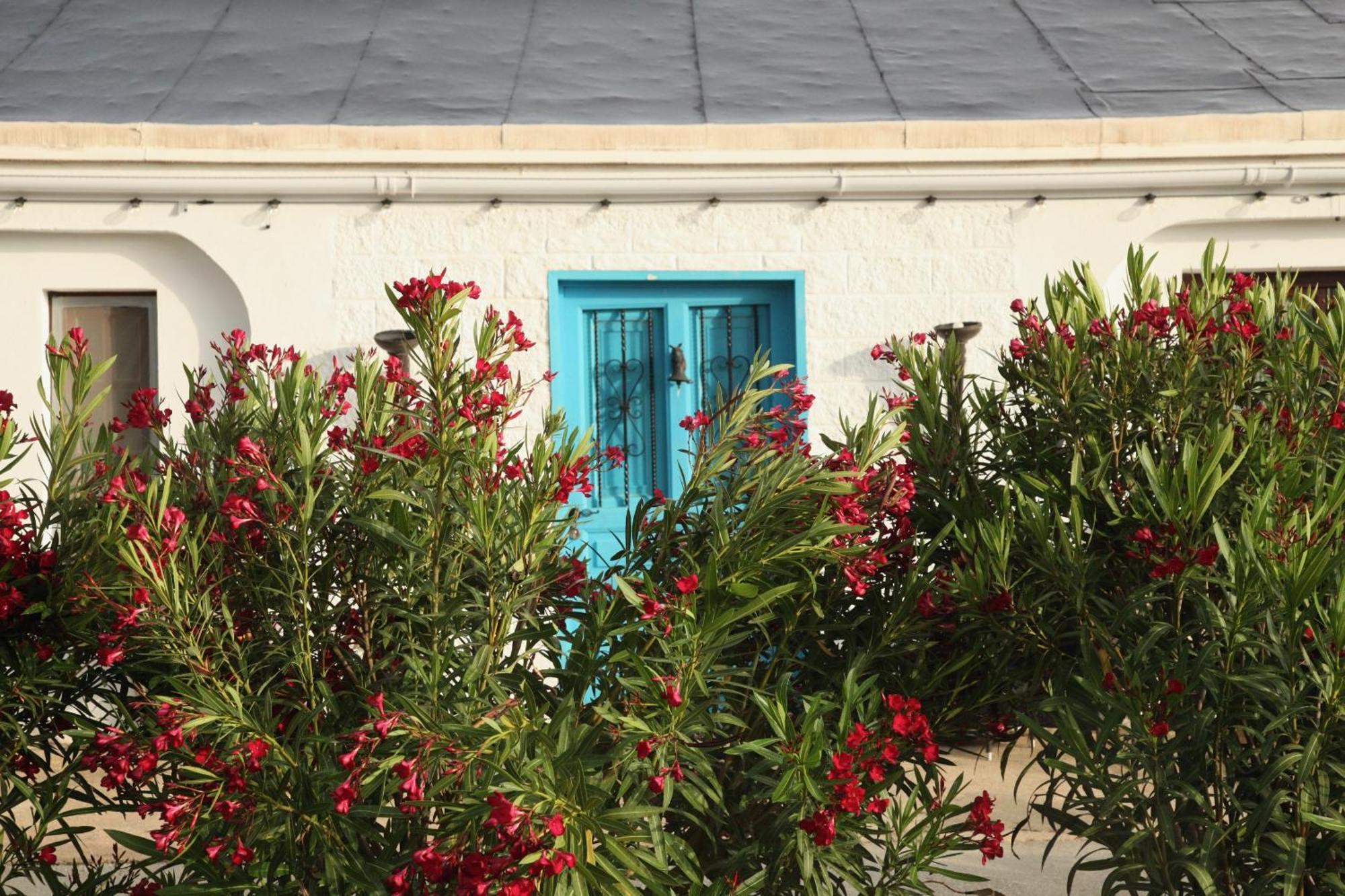 The Dragonfly Retreat Διαμέρισμα Μάλαγα Εξωτερικό φωτογραφία